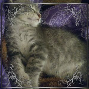 Meet your Posher, Aimee